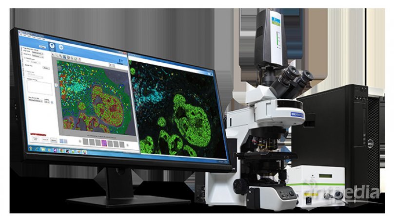 组织切片成像分析仪
